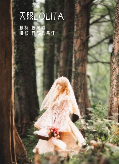 九九只有精品_1080高清在线观看